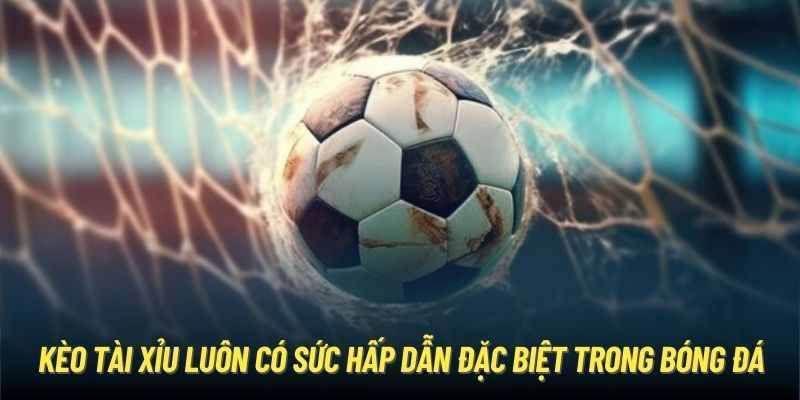 Hiểu rõ cách đọc của từng tỷ lệ để nắm bắt tình hình chuẩn xác